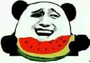 吃瓜群众看企鹅