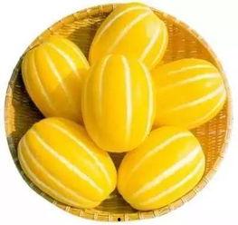 黄色吃瓜品种大全,盘点瓜界色彩斑斓的美食盛宴