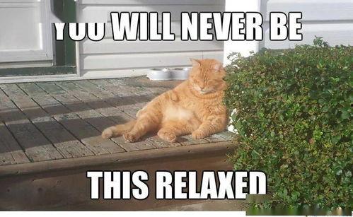 赶完due吃瓜,一瓜解千愁！