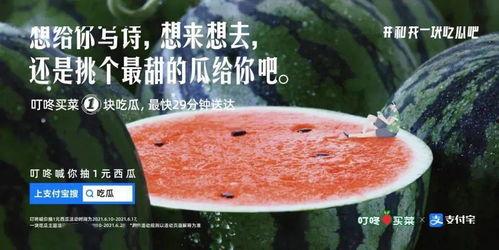 形容网络吃瓜的文案,揭秘虚拟世界的“瓜田”盛况