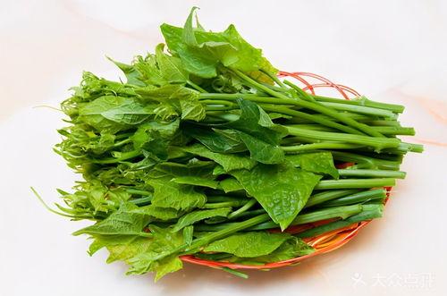 什么瓜的瓜尖可以吃