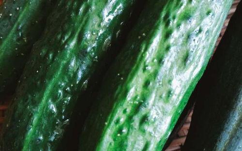 安中医吃瓜,揭秘吃瓜背后的养生奥秘