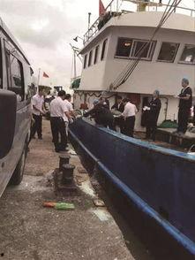 舟山吃瓜渔船事件,一场意外引发的海洋争议